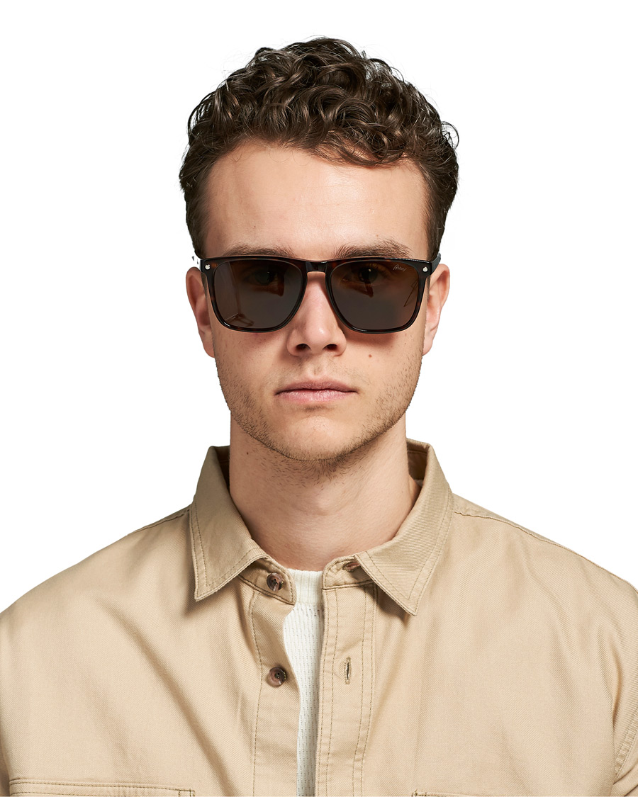 Herre | Brioni BR0086S Sunglasses Havana/Brown | Brioni | BR0086S Sunglasses Havana/Brown