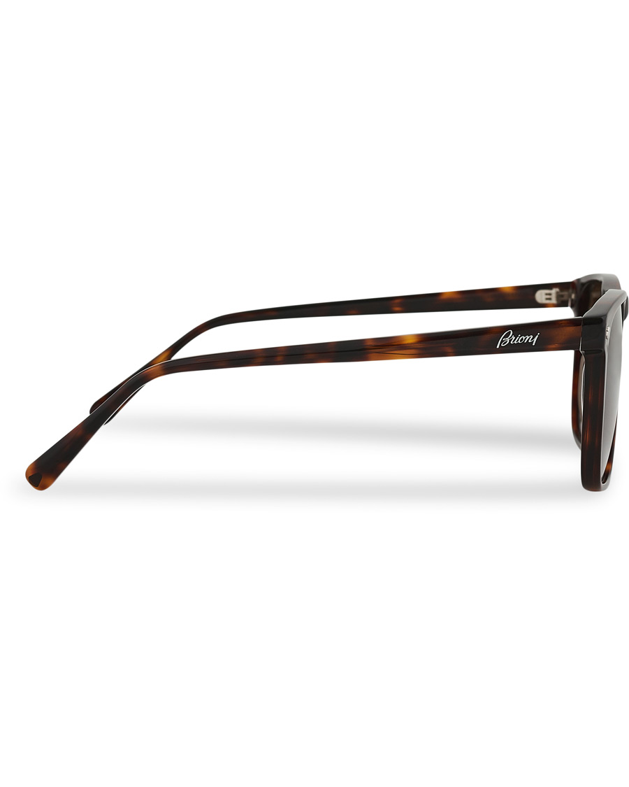 Herre | Brioni BR0086S Sunglasses Havana/Brown | Brioni | BR0086S Sunglasses Havana/Brown