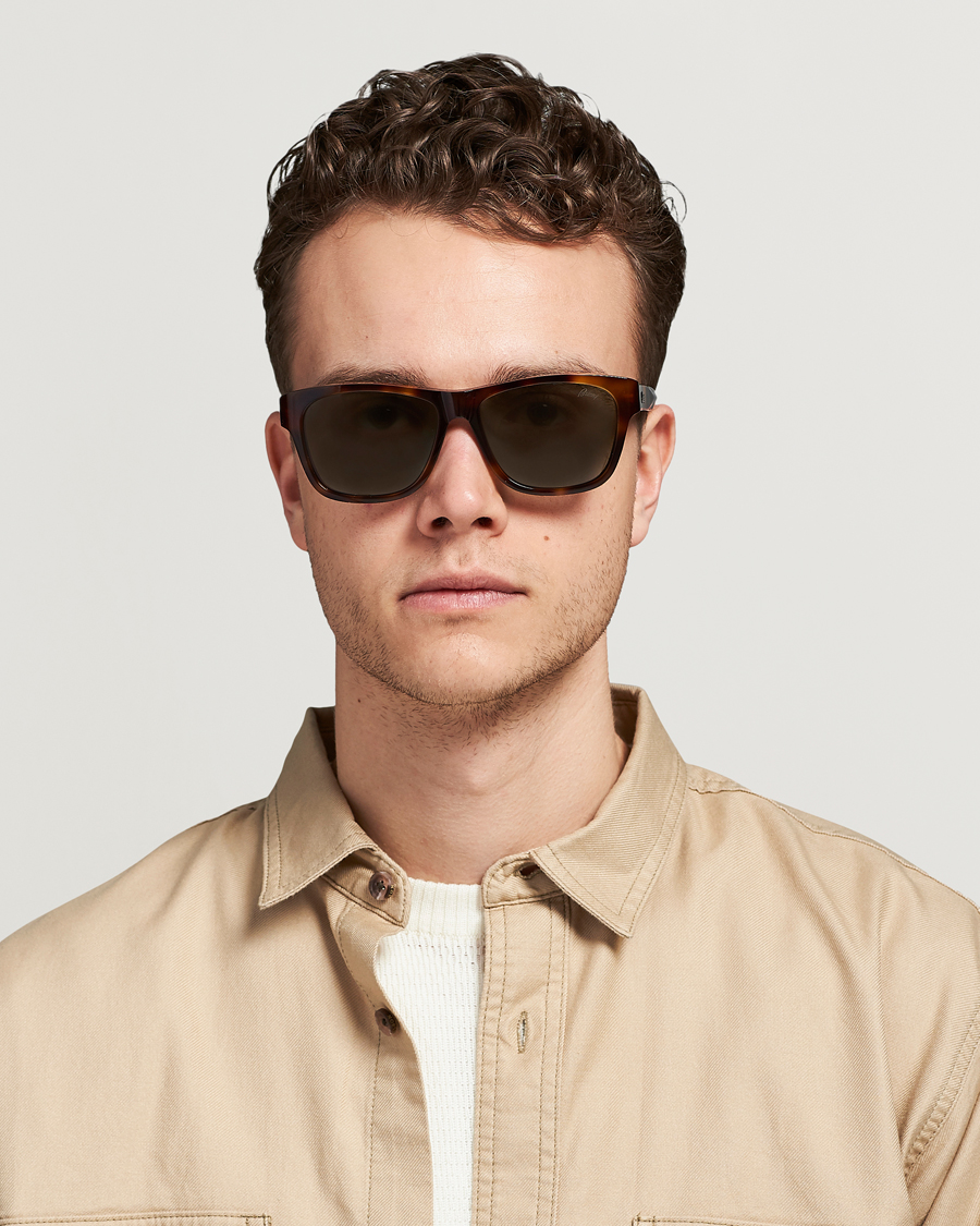 Herre | Brioni BR0081S Sunglasses Havana/Green | Brioni | BR0081S Sunglasses Havana/Green
