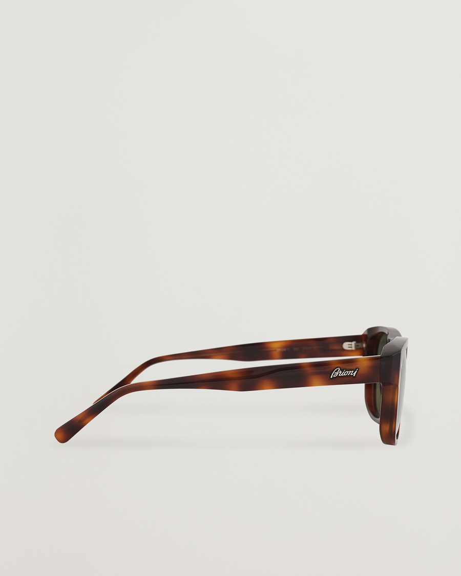 Herre | Brioni BR0081S Sunglasses Havana/Green | Brioni | BR0081S Sunglasses Havana/Green