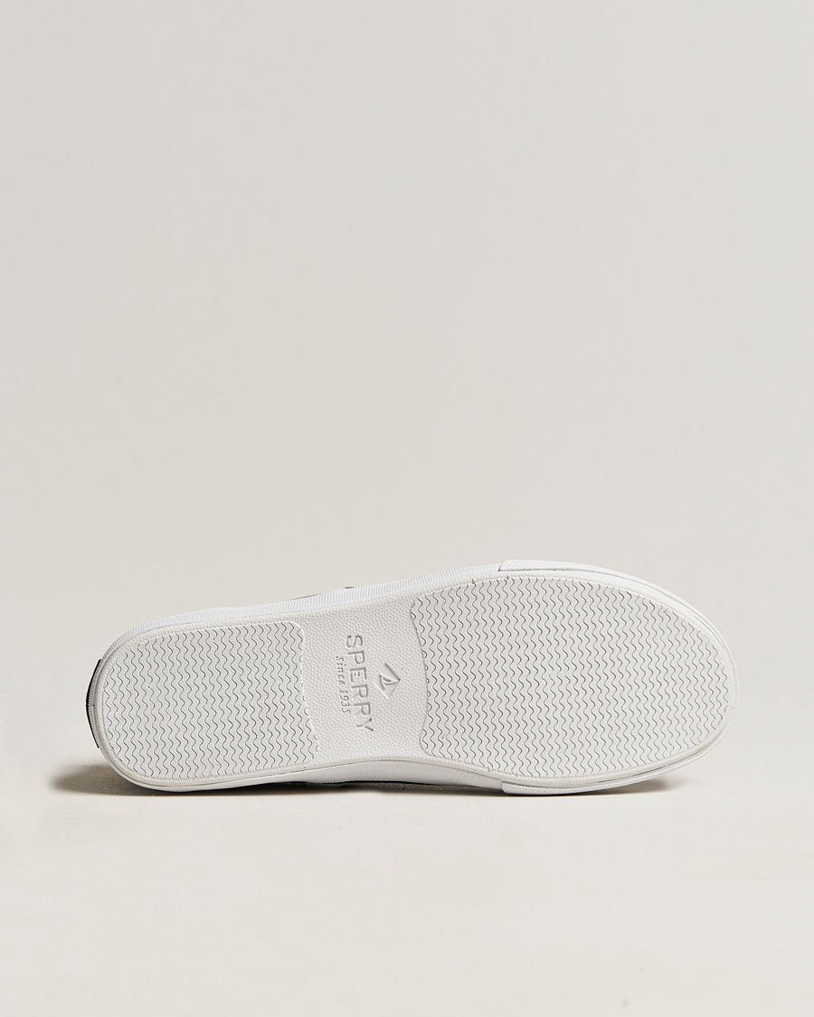 Herre | Sperry Striper II Canvas Sneaker Grey | Sperry | Striper II Canvas Sneaker Grey
