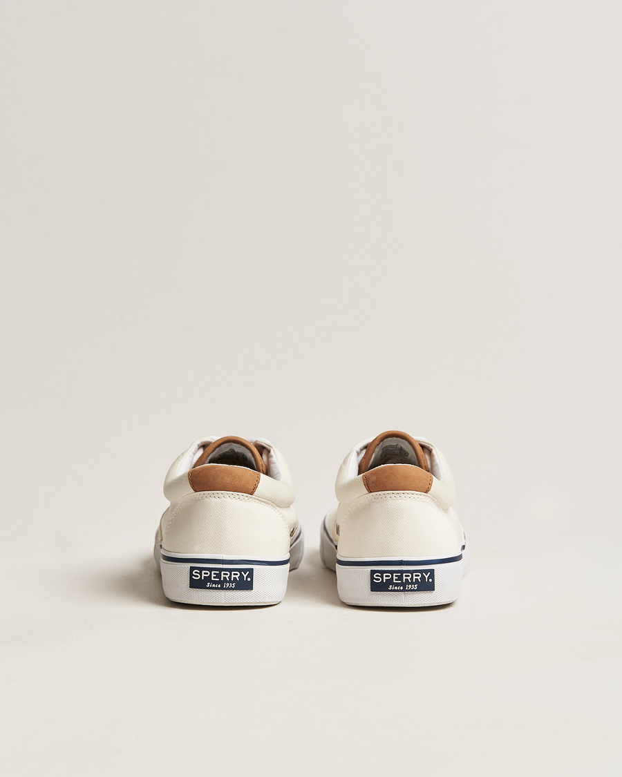 Herre | Sperry Striper II Canvas Sneaker White | Sperry | Striper II Canvas Sneaker White