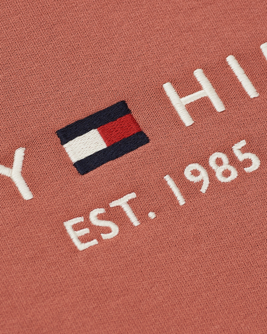 Herre | Gensere | Tommy Hilfiger | Logo Hoodie Mineralize