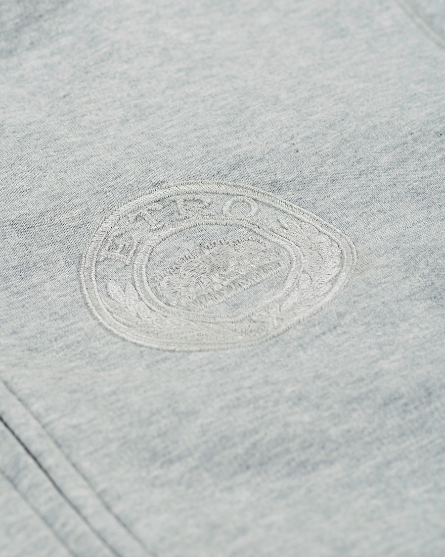Herre | Gensere | Etro | Leisure Zip Hoodie Light Grey