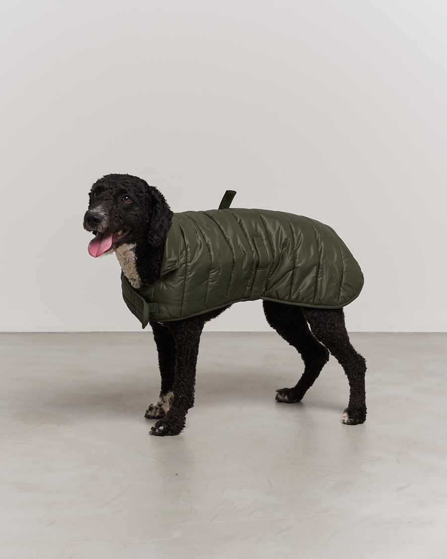 Herre |  | Barbour Lifestyle | Baffle Quilt Dog Coat Olive