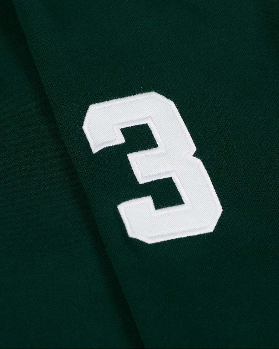 Herre | Gensere | Polo Ralph Lauren | Match Club Hoodie College Green