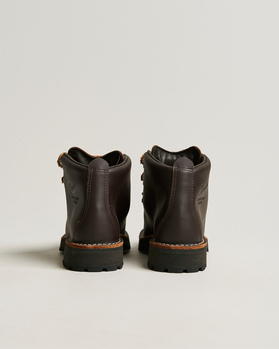 Herre | Tursko | Danner | Mountain Light GORE-TEX Boot Brown