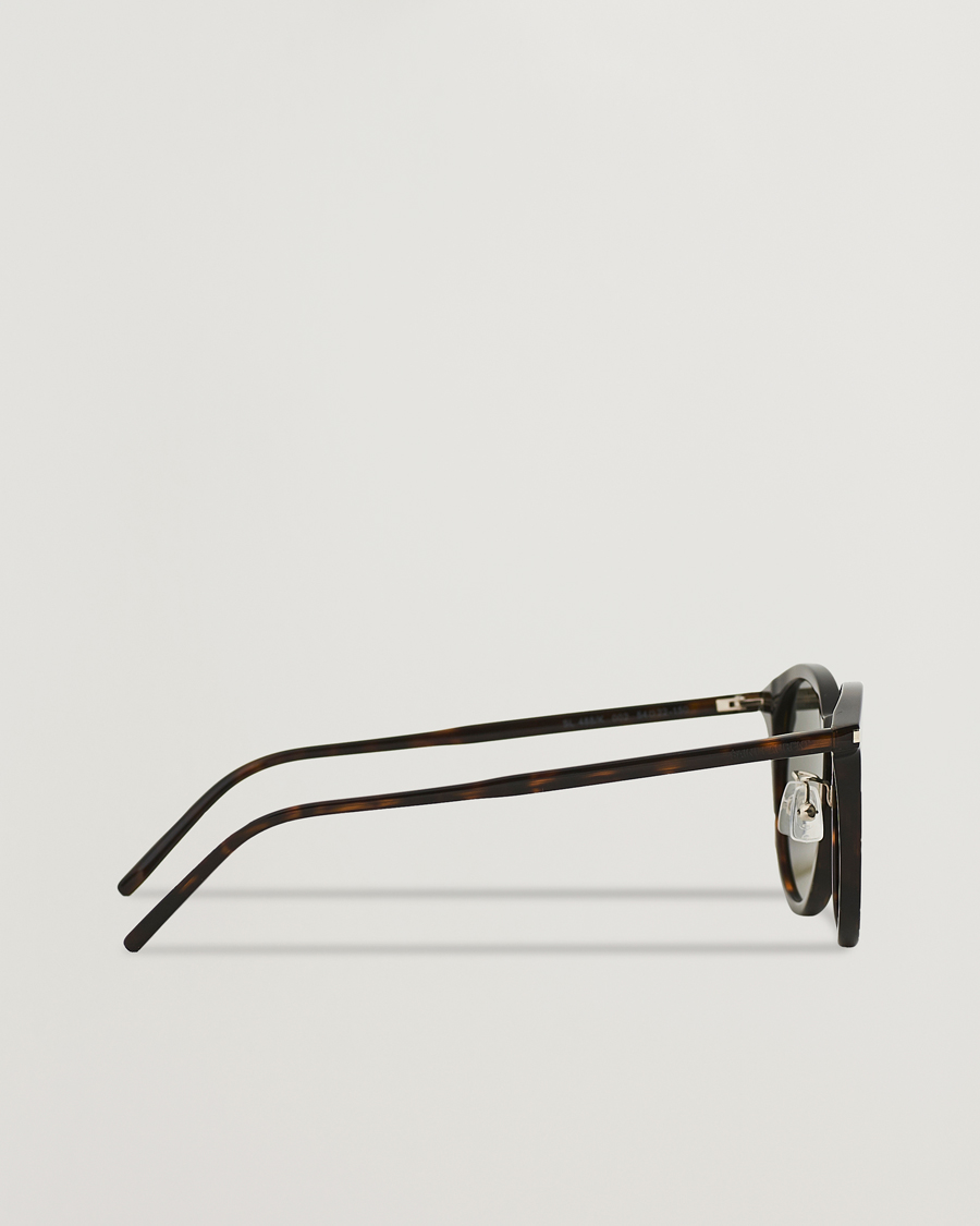 Herre | Saint Laurent SL 488 Sunglasses Havana Grey | Saint Laurent | SL 488 Sunglasses Havana Grey