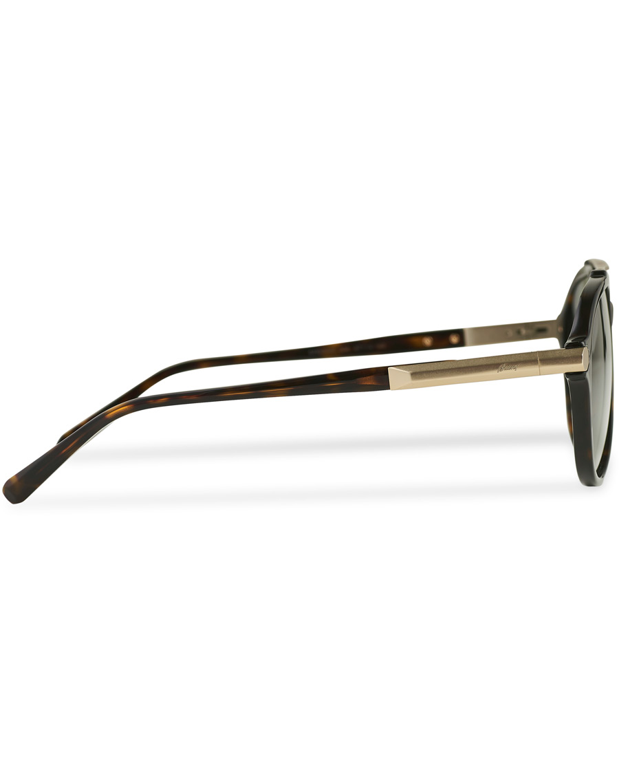 Herre | Brioni BR0096S Sunglasses Havana Green | Brioni | BR0096S Sunglasses Havana Green