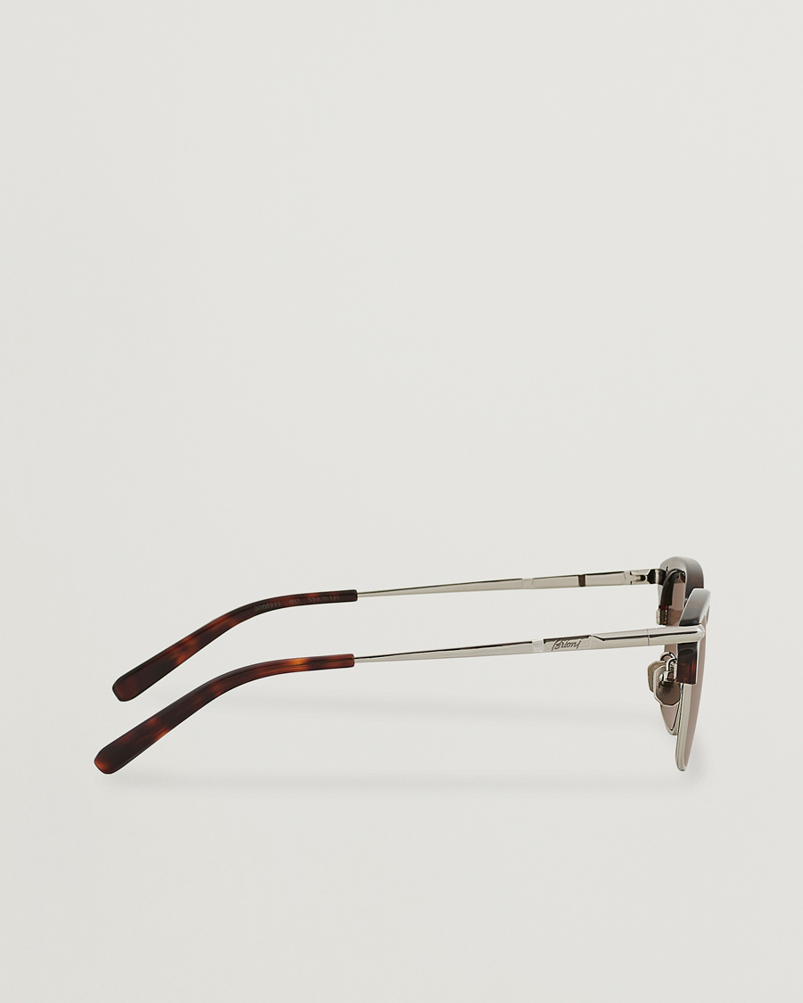Herre | Brioni BR0093S Sunglasses Havana Brown | Brioni | BR0093S Sunglasses Havana Brown