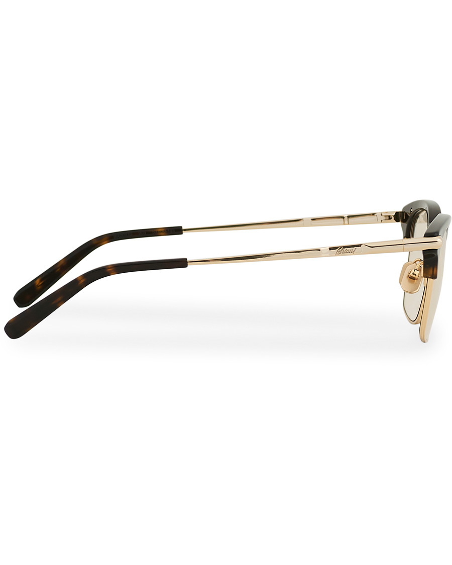 Herre | Brioni BR0093S Sunglasses Havana Gold | Brioni | BR0093S Sunglasses Havana Gold