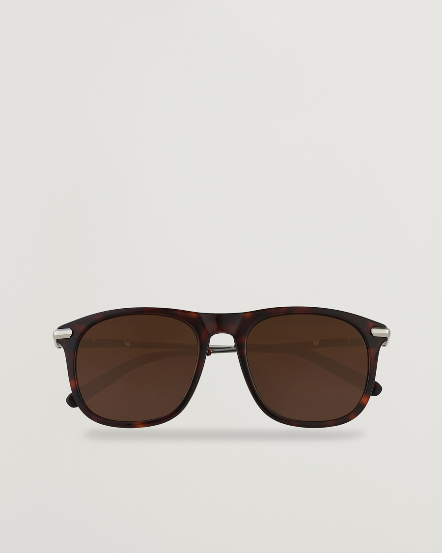 Herre | Pilotsolbriller | Brioni | BR0094S Sunglasses Havana Brown