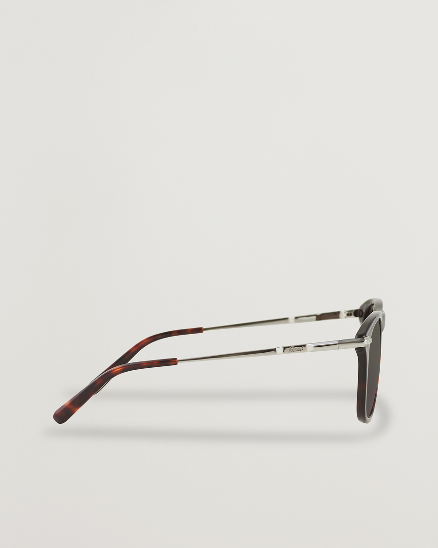 Herre | Brioni BR0094S Sunglasses Havana Brown | Brioni | BR0094S Sunglasses Havana Brown