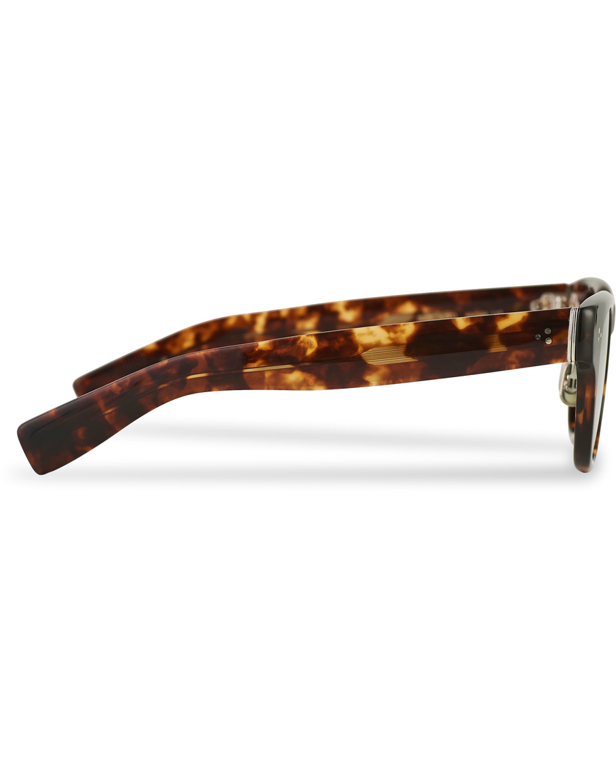 Herre | Eyevan 7285 329 Sunglasses Brown Tortoise | EYEVAN 7285 | 329 Sunglasses Brown Tortoise