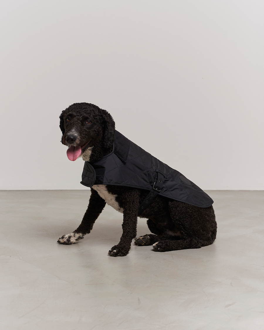 Herre | Barbour Lifestyle Quilted Dog Coat Black | Barbour Lifestyle | Quilted Dog Coat Black