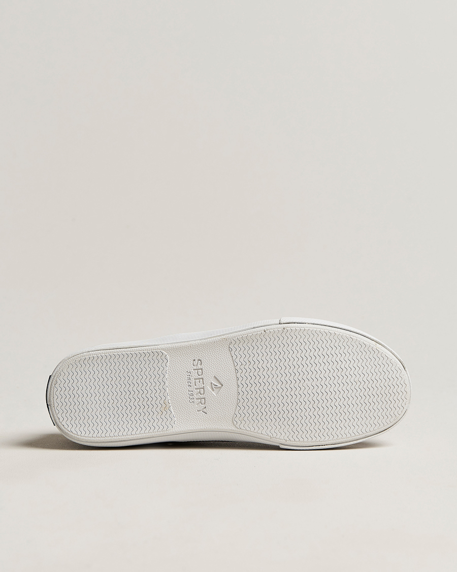 Herre | Sperry Striper II Canvas Sneaker Whased Black | Sperry | Striper II Canvas Sneaker Whased Black
