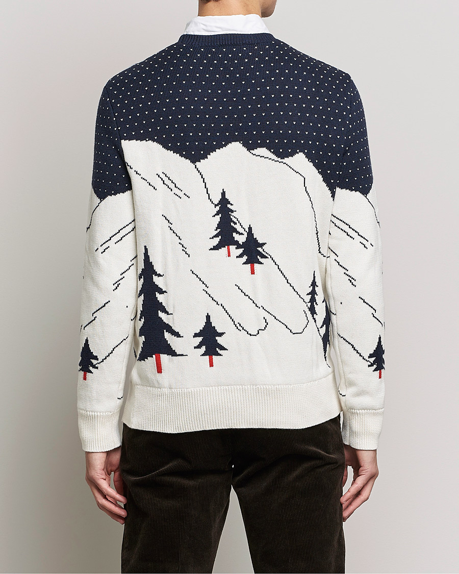 Herre | Gensere | Polo Ralph Lauren | Cotton Ski Knitted Sweater Navy Multi