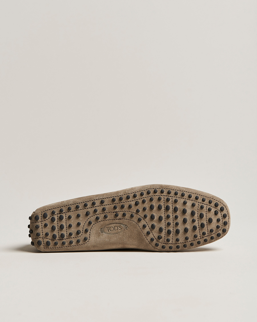 Herre | Tod's Laccetto Gommino Carshoe Taupe Suede | Tod's | Laccetto Gommino Carshoe Taupe Suede