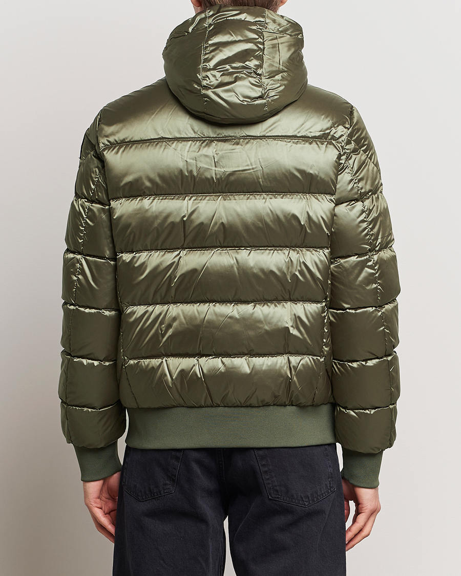 Herre | Jakker | Parajumpers | Pharrell Sheen High Gloss Jacket Toubre Green