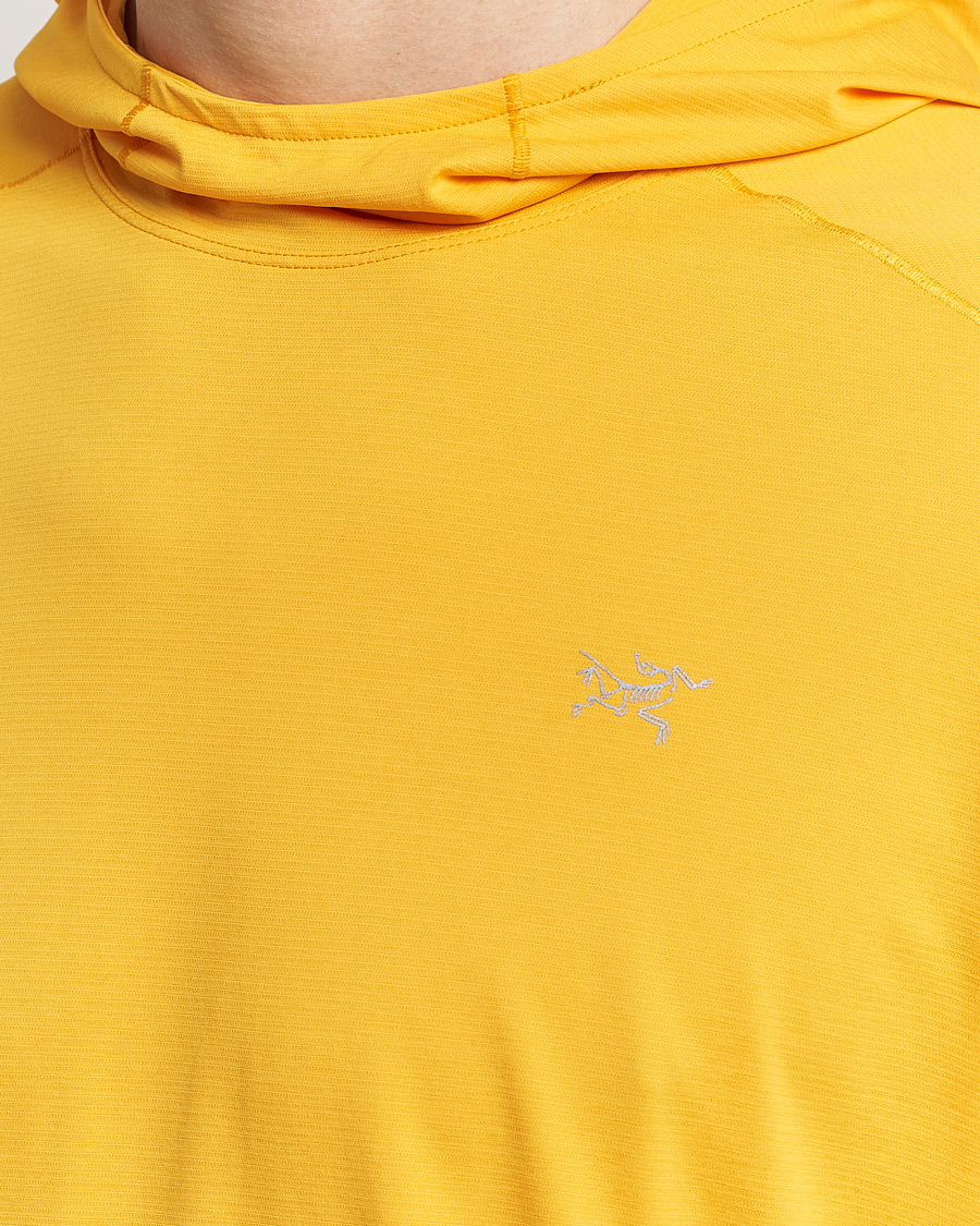 Herre | Gensere | Arc'teryx | Cormac Hoodie Edziza Heather