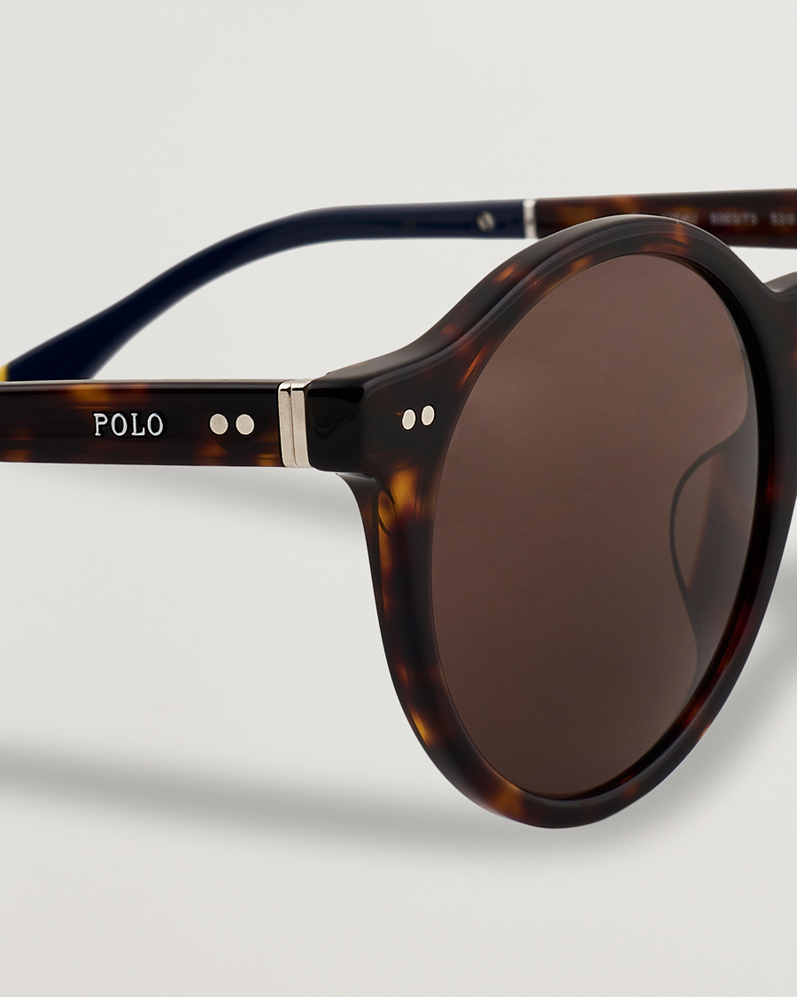 Herre | Solbriller | Polo Ralph Lauren | 0PH4204U Sunglasses Dark Havana