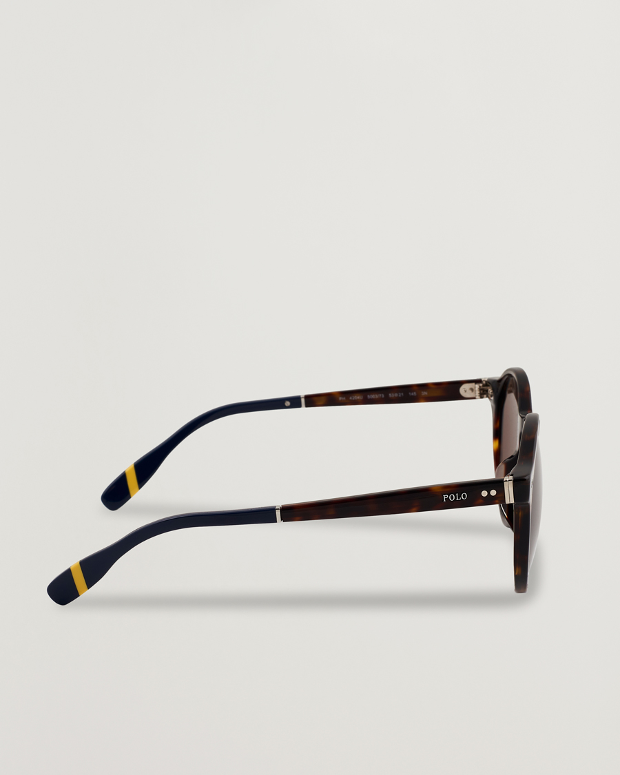 Herre | Solbriller | Polo Ralph Lauren | 0PH4204U Sunglasses Dark Havana