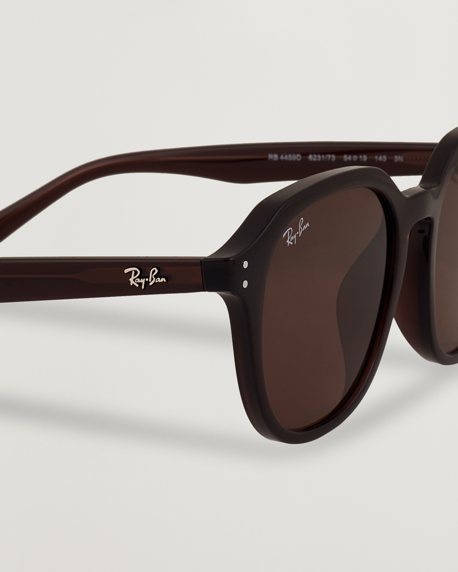Herre | Solbriller | Ray-Ban | 0RB4459D Sunglasses Opal Brown