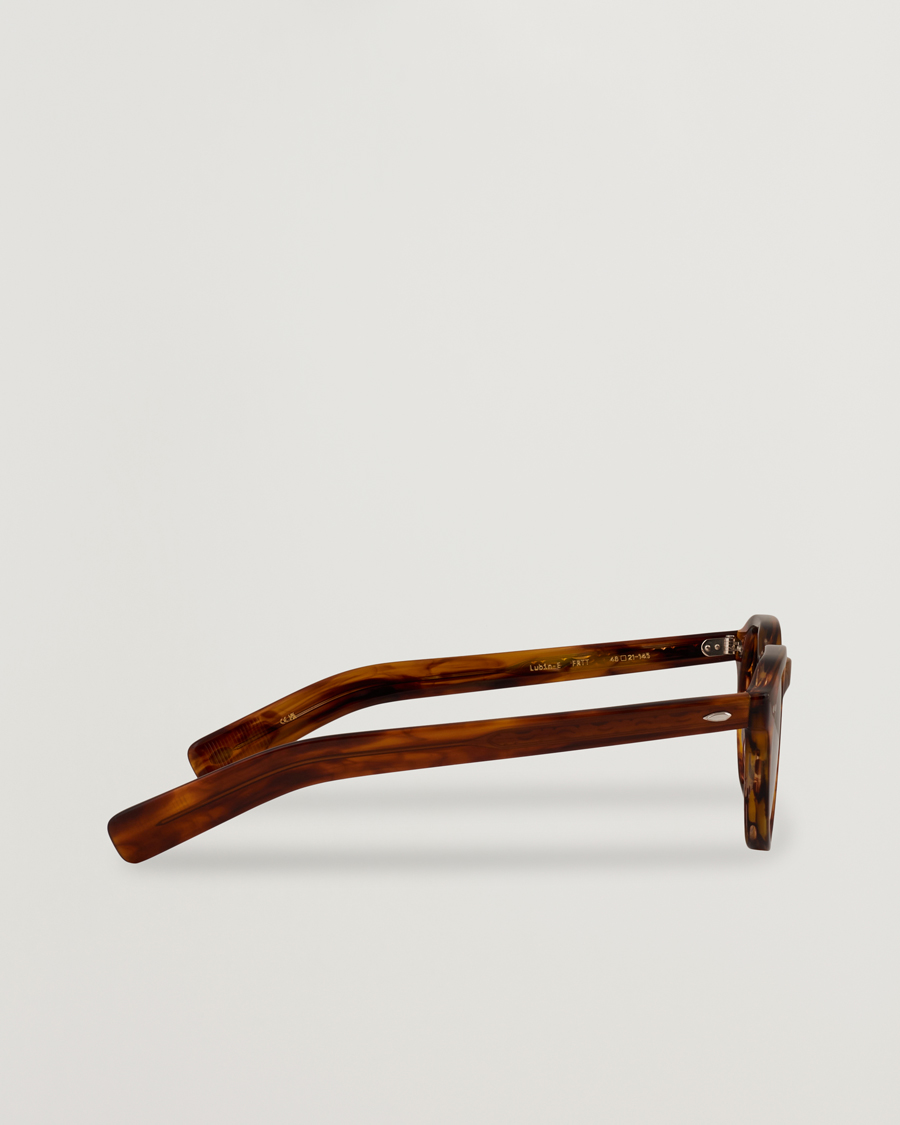 Herre | Solbriller | EYEVAN 7285 | Lubin Sunglasses French Tortoise