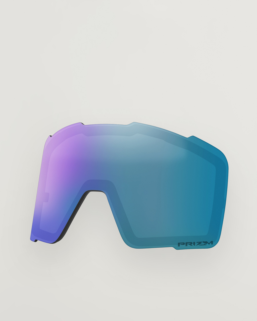 Herre | Solbriller | Oakley | Line Miner Pro Prizm Snow Goggles L Black/Blue