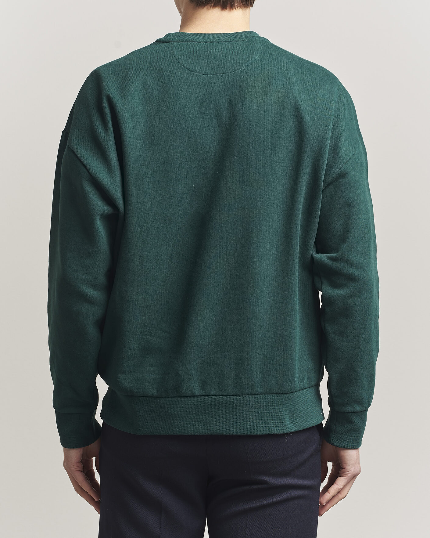 Herre | Gensere | RLX Ralph Lauren | Loopback Terry Bear Sweatshirt Moss Agate