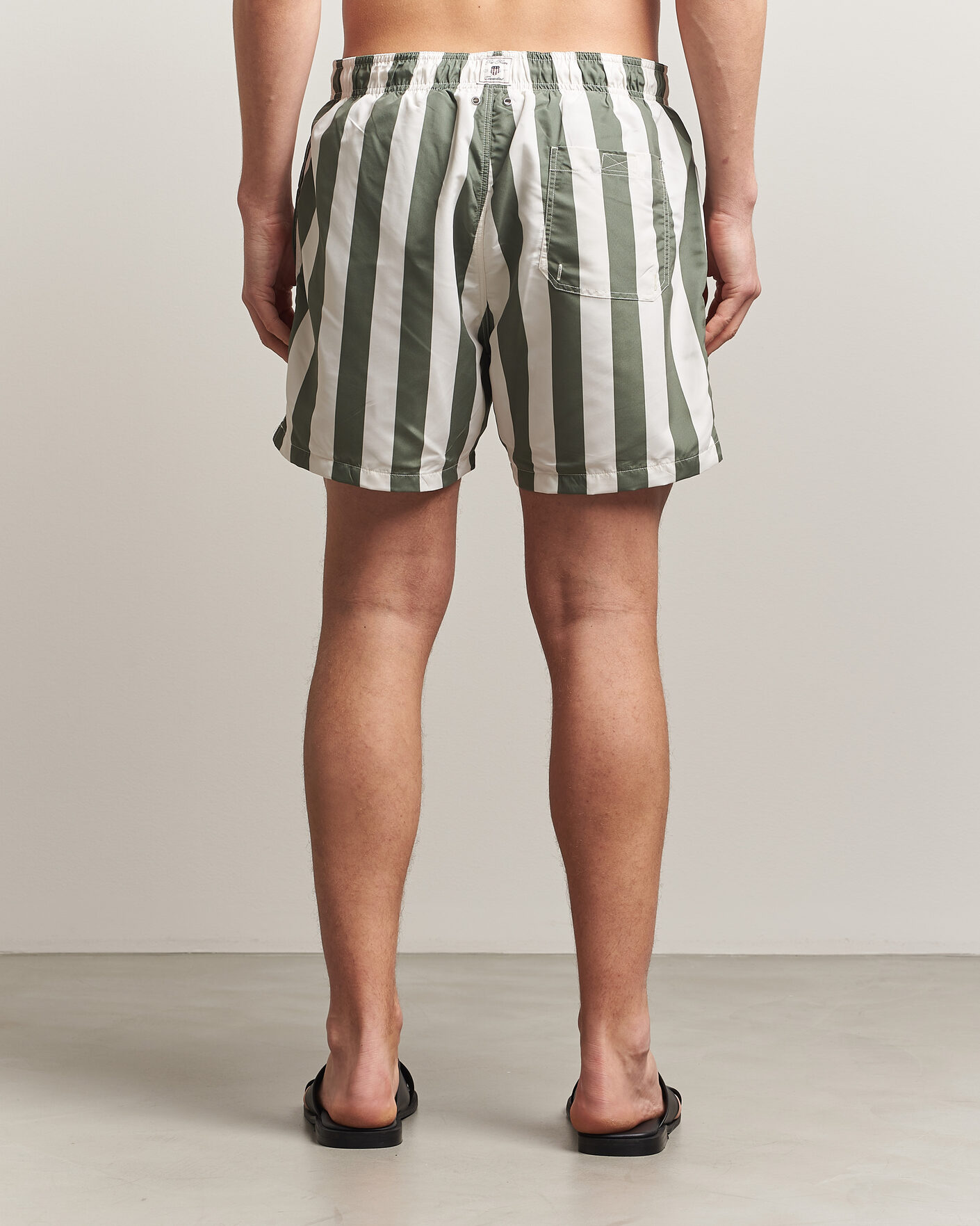 Herre | Badeshorts | Gant | Blockstriped Swimshorts Dry Herb Green