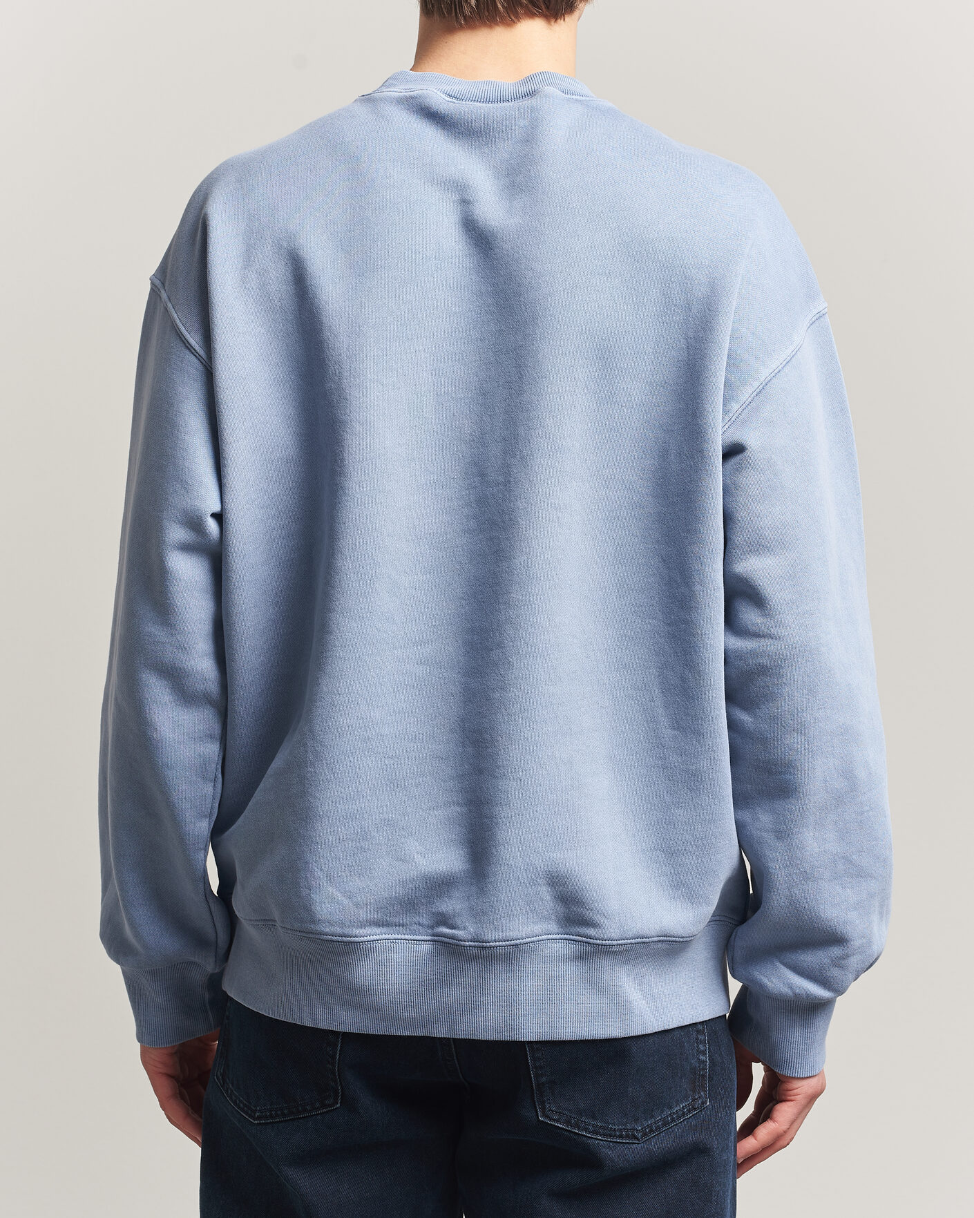 Herre | Gensere | Carhartt WIP | Nelson Sweatshirt Gentle Blue