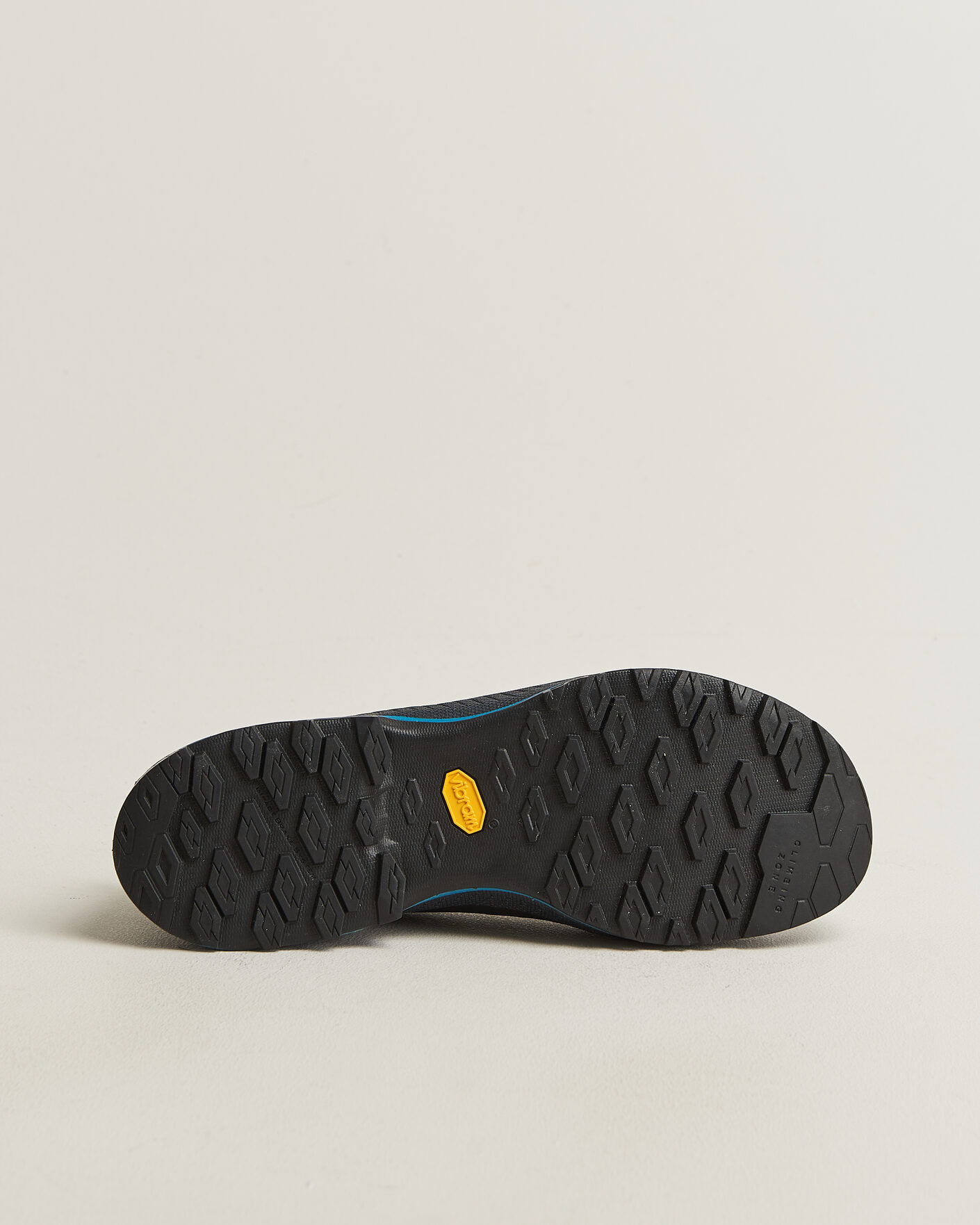 Herre | Tursko | La Sportiva | TX4 EVO Cypress/Night Sky