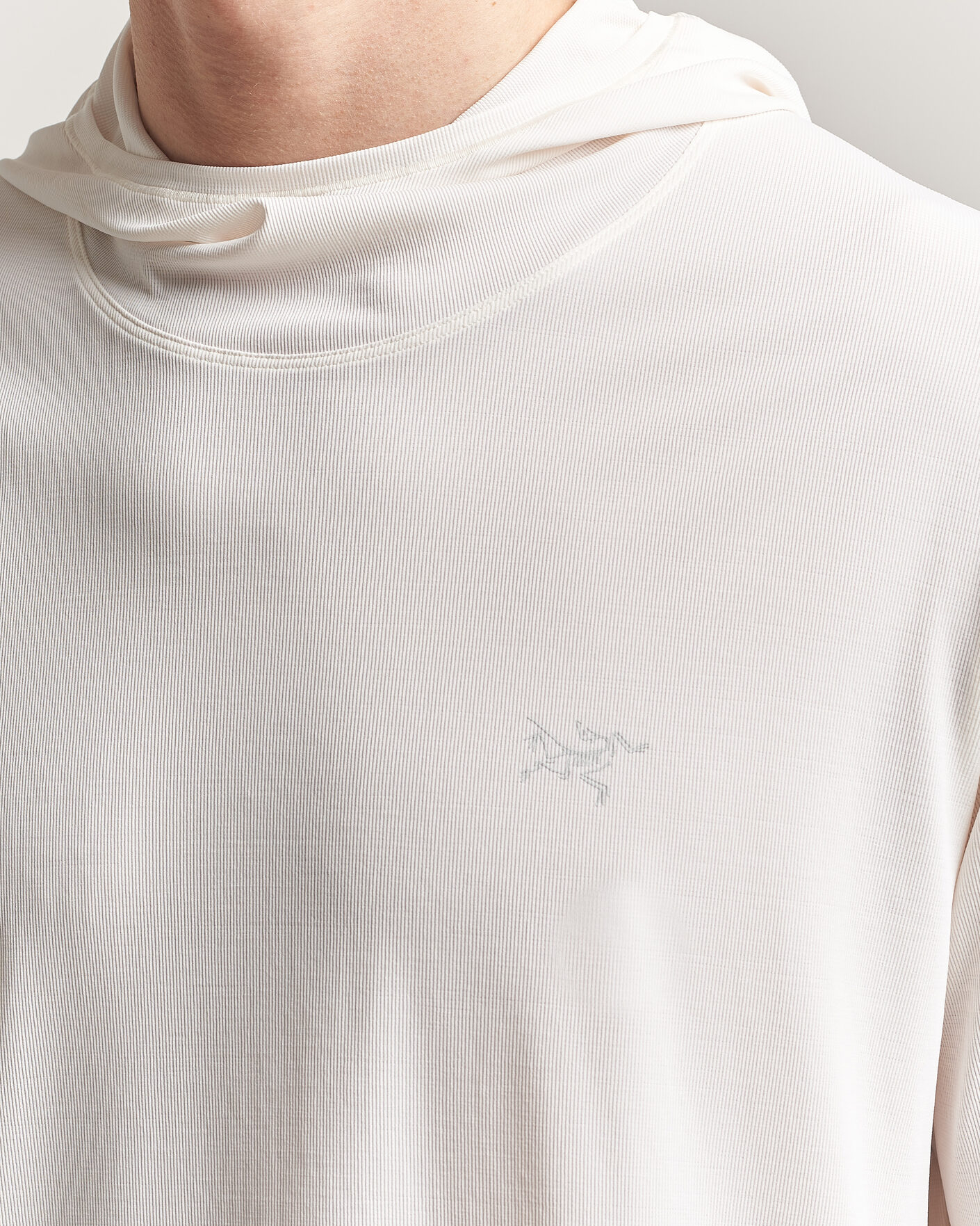 Herre | Gensere | Arc'teryx | Cormac Hoodie Arctic Silk