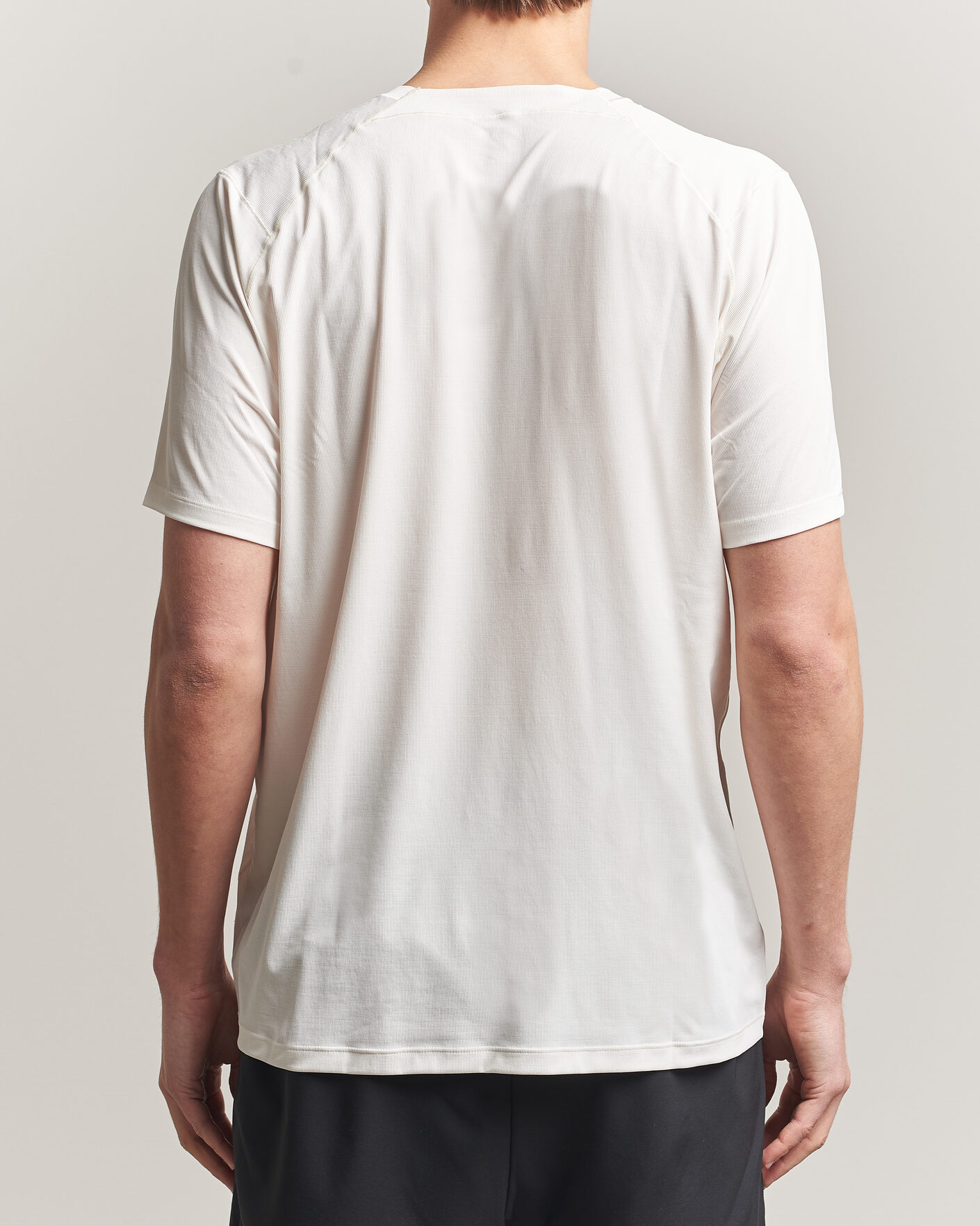 Herre | T-Shirts | Arc'teryx | Cormac Bird Logo Crew Neck T-Shirt Arctic Silk