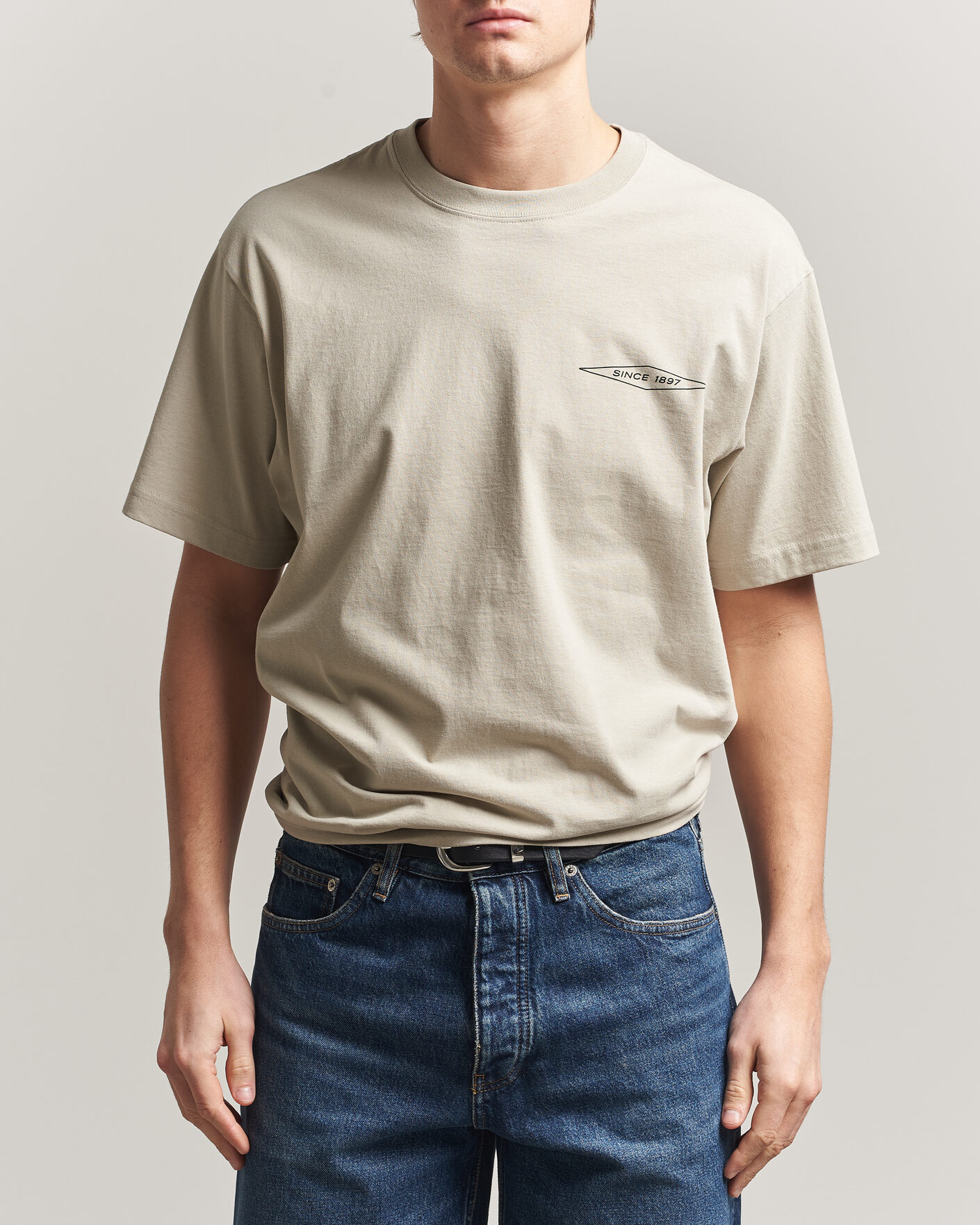 Herre | T-Shirts | Filson | Diamond Graphic T-Shirt Sky Grey