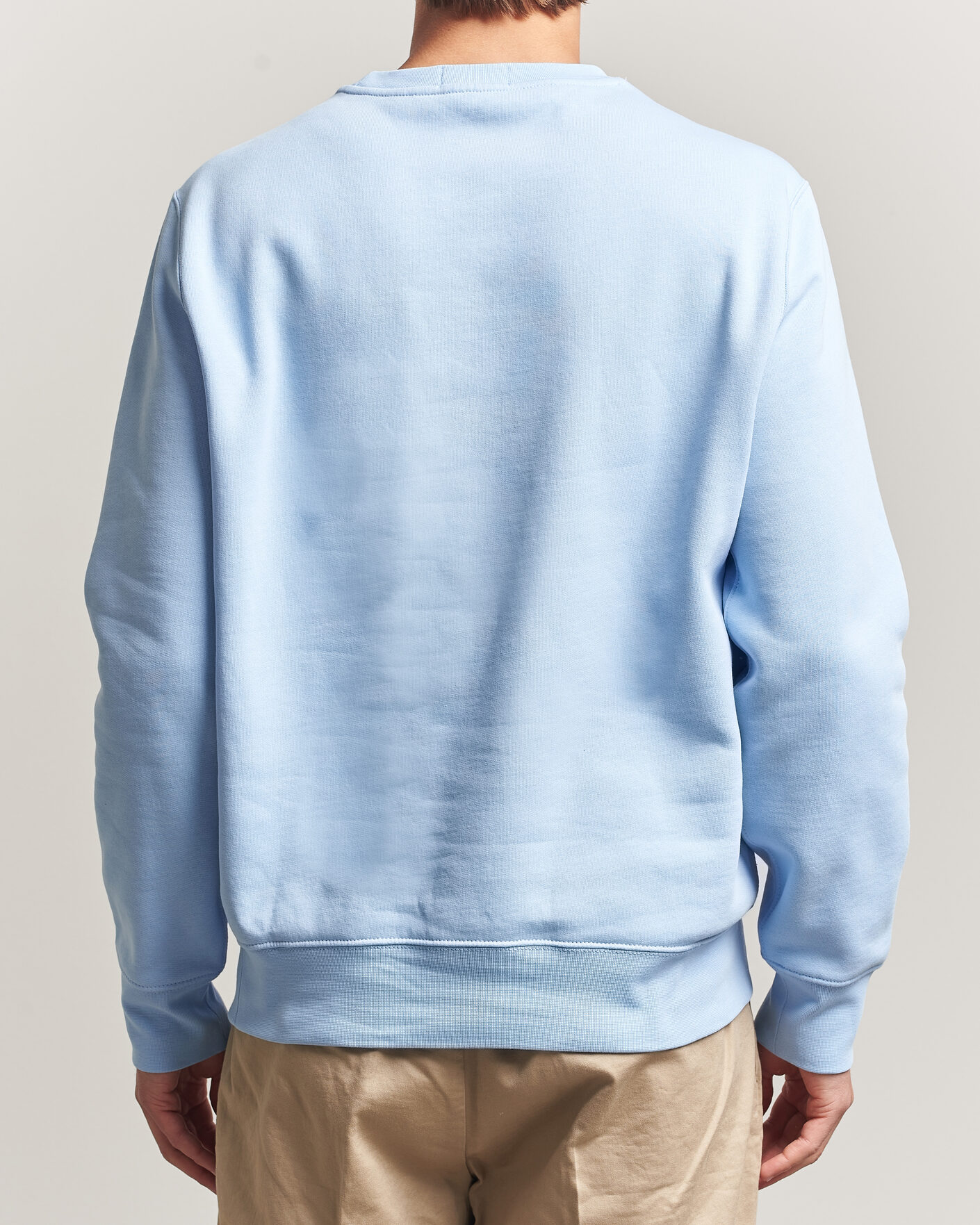 Herre | Gensere | Polo Ralph Lauren | Newport Bear Sweatshirt Office Blue