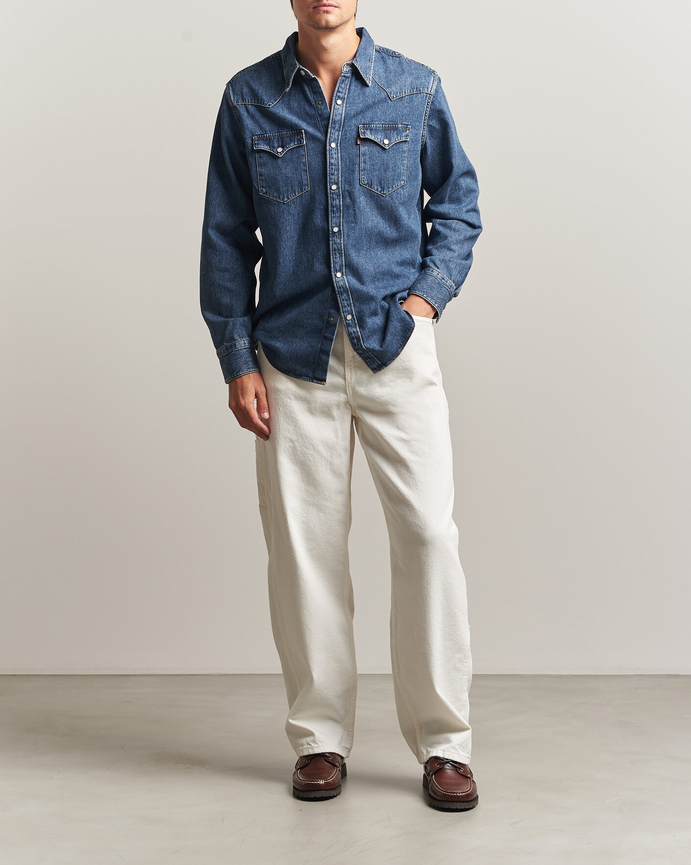 Herre | Skjorter | Levi's | Barstow Western Standard Shirt Soulcell Western