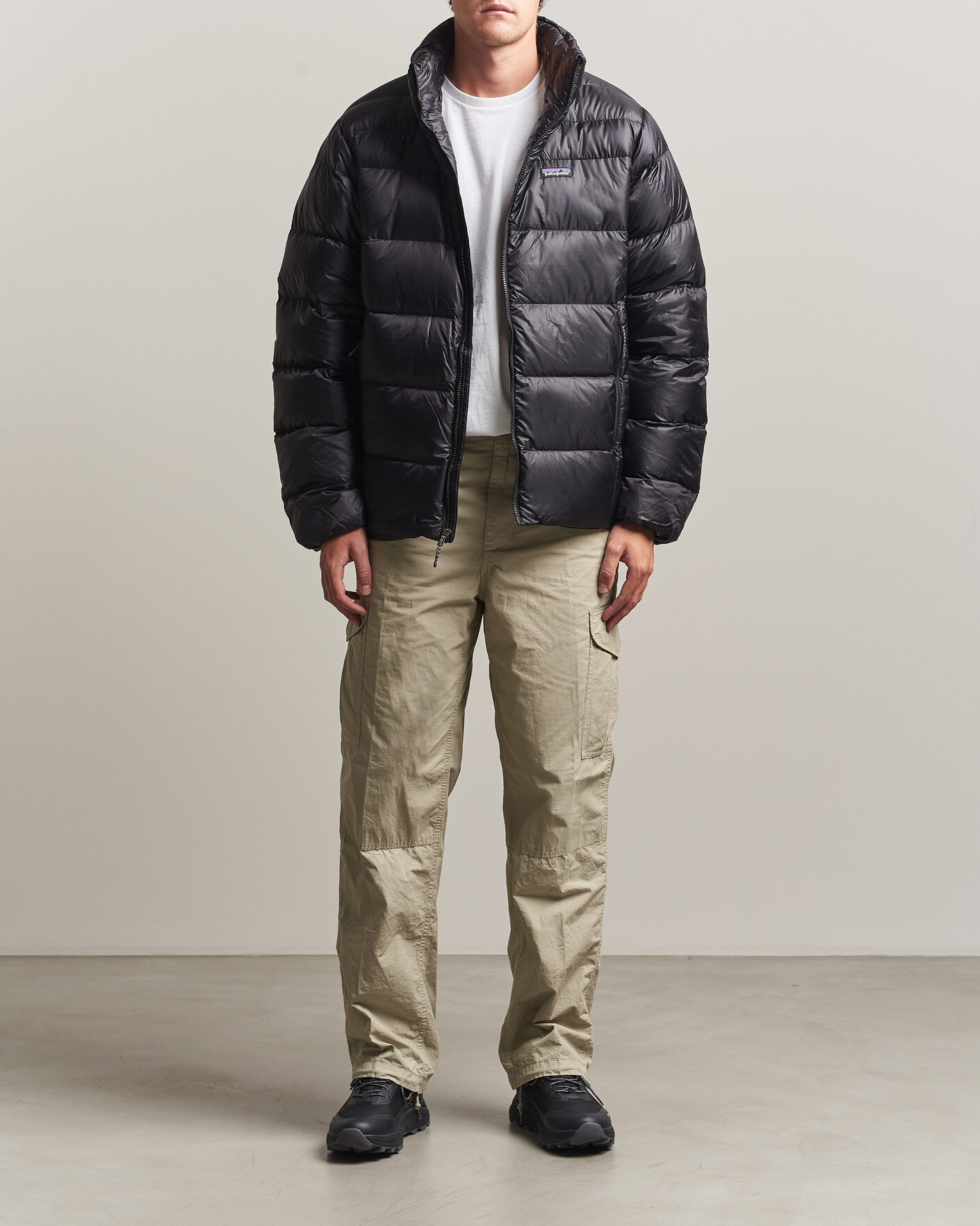 Herre | Jakker | Patagonia | Fitz Roy Down Jacket Black