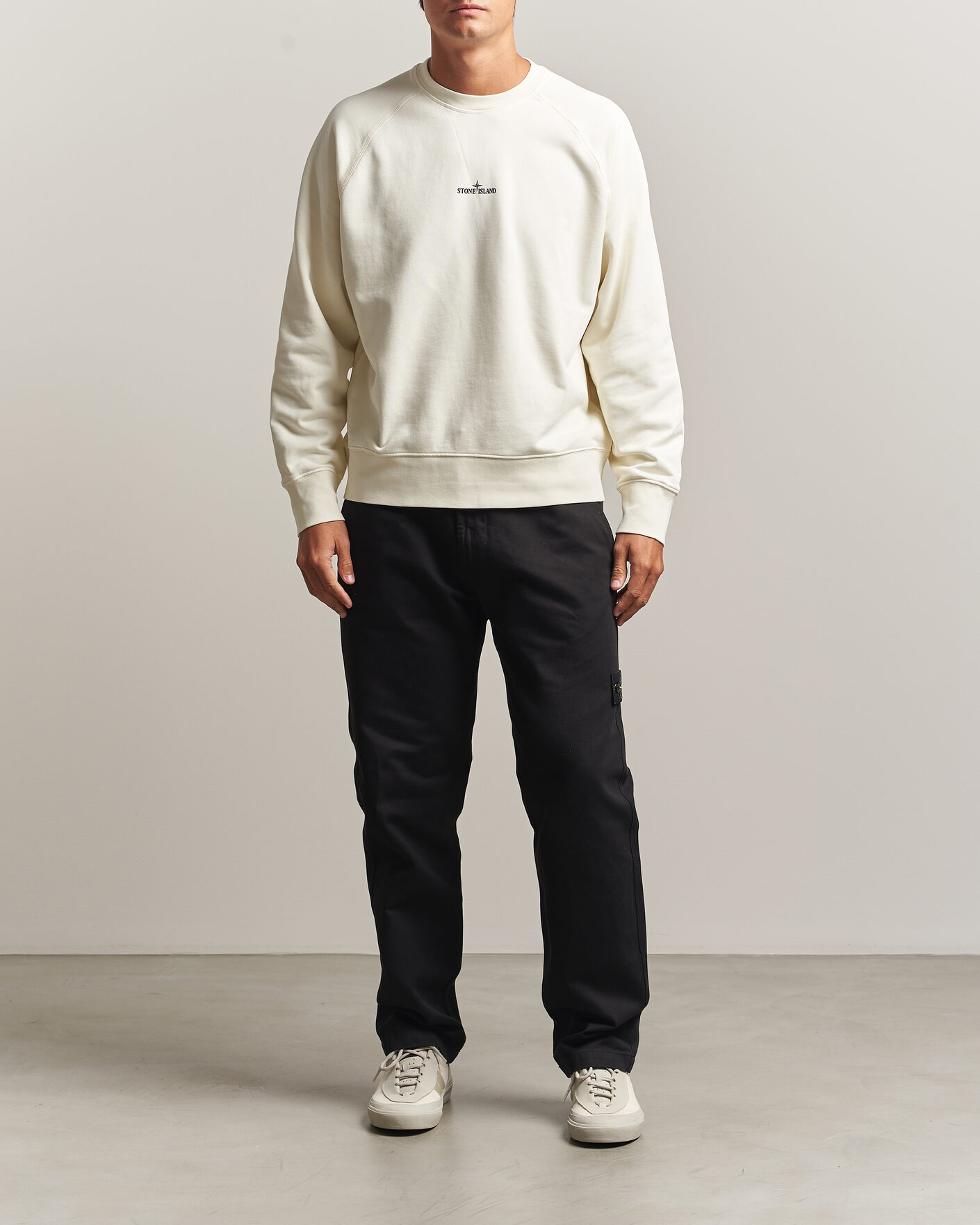 Herre | Gensere | Stone Island | Garment Dyed Fleece Desert Print Sweatshirt Ivory