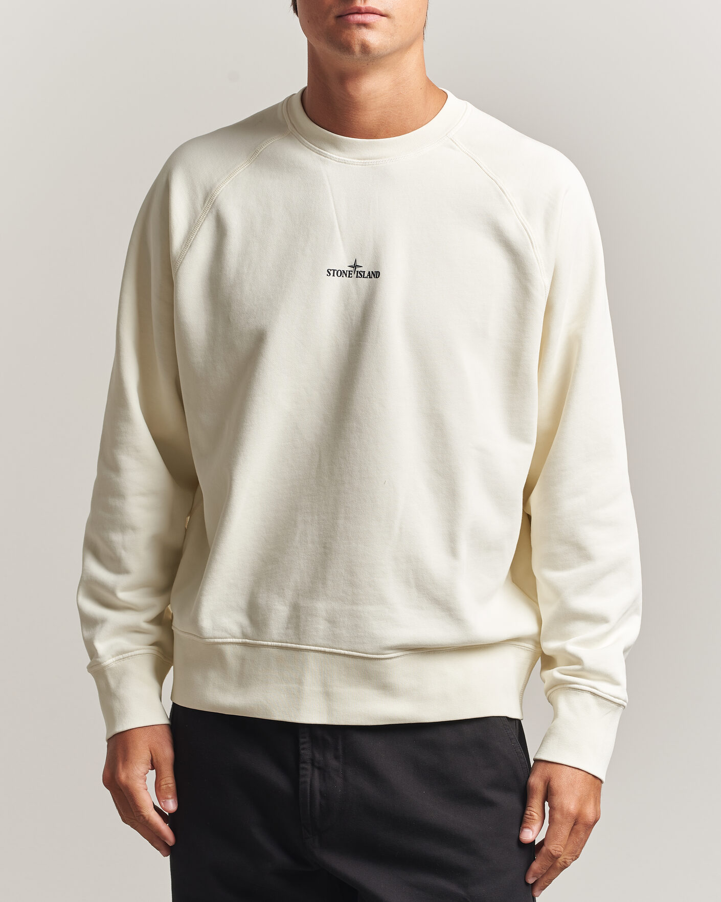 Herre | Gensere | Stone Island | Garment Dyed Fleece Desert Print Sweatshirt Ivory