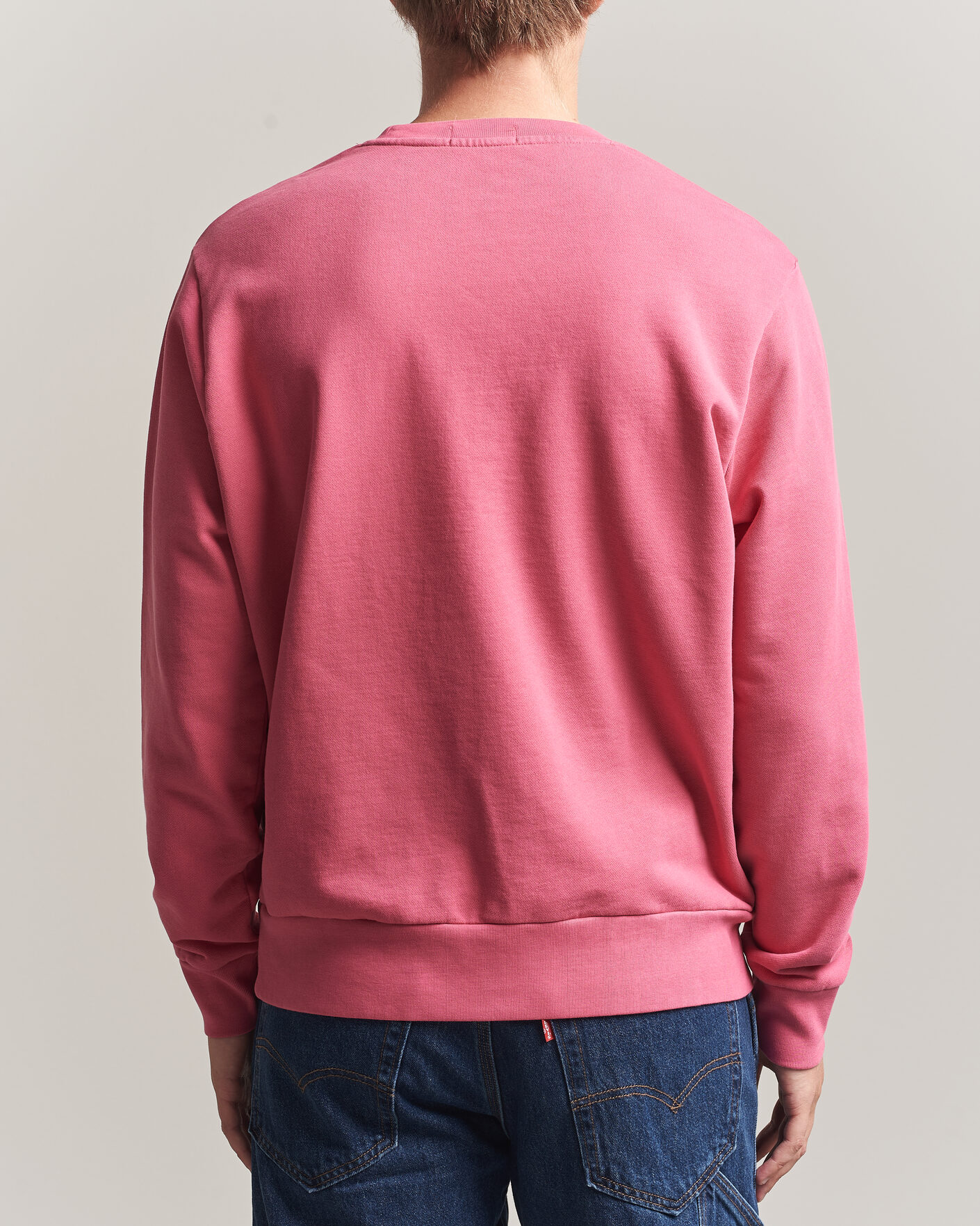 Herre | Gensere | Polo Ralph Lauren | Loopback Terry Sweatshirt Terrance Pink