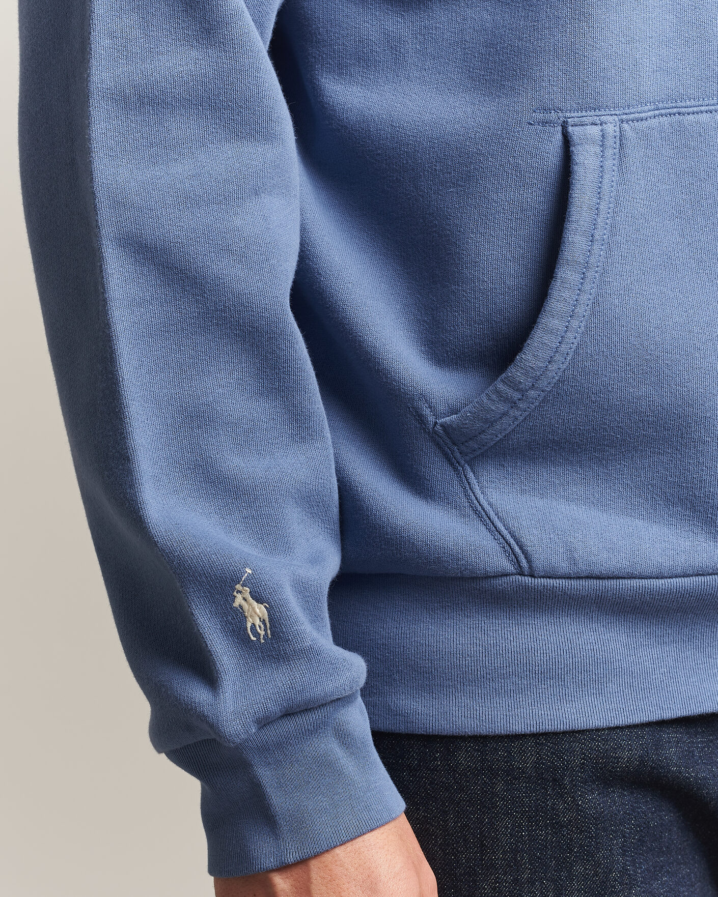 Herre | Gensere | Polo Ralph Lauren | Cotton Chest Logo Hood Carson Blue